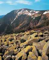 Am Steinboden Pec pod Snkou * Riesengebirge (Krkonose)