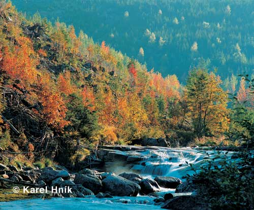 pict: Bílé Labe (The White Elbe River) - Špindlerův Mlýn