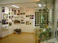 enlarge picture: Ecologic exhibition Ob dl * Krkonose Mountains (Giant Mts)