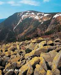 enlarge picture: Studnin hora Mountain  * Krkonose Mountains (Giant Mts)