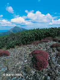 enlarge picture: Studnin hora Mountain  * Krkonose Mountains (Giant Mts)