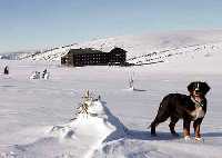 Lucni bouda Pec pod Snkou * Krkonose Mountains (Giant Mts)