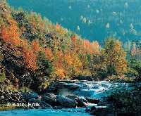 Bl Labe (The White Elbe River) pindlerv Mln * Krkonose Mountains (Giant Mts)