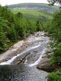 enlarge picture: Bl Labe (The White Elbe River) * Krkonose Mountains (Giant Mts)