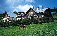 B&B Krausovy boudy Špindlerův Mlýn * Krkonose Mountains (Giant Mts)